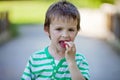 Cute little caucasian boy, eating strawberries in the park Royalty Free Stock Photo