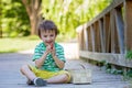 Cute little caucasian boy, eating strawberries in the park Royalty Free Stock Photo
