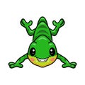 Cute little chameleon cartoon character