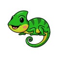 Cute little chameleon cartoon character