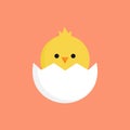 Cute little chick in cracked egg vector Royalty Free Stock Photo