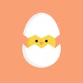 Cute little chick in cracked egg vector illustration Royalty Free Stock Photo