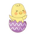 Cute little chick in egg shell painted easter character Royalty Free Stock Photo