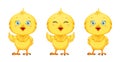 Cute little chick, set of three poses