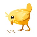 Cute little chick standing and eating crumbs on the floor side view cartoon character design flat vector illustration Royalty Free Stock Photo