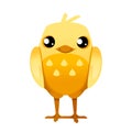 Cute little chick standing front view cartoon character design flat vector illustration Royalty Free Stock Photo