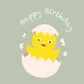 Cute little chicken in broken egg and words Happy Birthday Vector Illustration Royalty Free Stock Photo