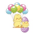 Cute little chicks in egg shell painted and balloons helium Royalty Free Stock Photo