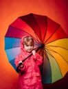 Cute little child boy are getting ready for autumn. Cheerful boy in raincoat with colorful umbrella. Autumn mood and