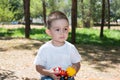 Cute little child boy plays with toy car in park on nature at summer. Royalty Free Stock Photo