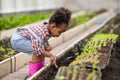 Cute little child farmer daughter playing plant the tree green garden in greenhouse farm