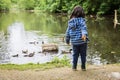 Cute little child feeding ducks in the pond in a park Royalty Free Stock Photo