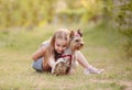 Child girl with her little Yorkshire terrier dog in the park Royalty Free Stock Photo