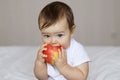 Cute little child holding and biting a big red apple Royalty Free Stock Photo