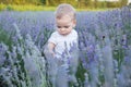 Baby's girl hand touching lavender, feeling nature