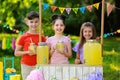 Cute little children at lemonade stand in park. Summer refreshing natural Royalty Free Stock Photo