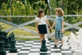 Cute little children playing on big chess board. Portrait of two happy young kids play chess at the summer park. Royalty Free Stock Photo