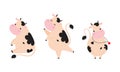 Cute Little Cow Calf with Hoof Sitting and Dancing Vector Set Royalty Free Stock Photo