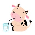 Cute Little Cow Drinking Milk, Adorable Funny Farm Animal Cartoon Character Vector Illustration Royalty Free Stock Photo