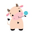 Cute Little Cow Eating Flower, Adorable Funny Farm Animal Cartoon Character Vector Illustration Royalty Free Stock Photo