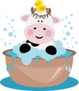 Cute little cow taking a bath Royalty Free Stock Photo