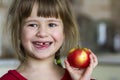 A cute little curly toothless girl smiles and holds a red apple. Royalty Free Stock Photo