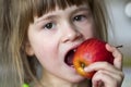 A cute little curly toothless girl smiles and holds a red apple. Royalty Free Stock Photo