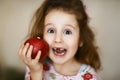 A cute little curly toothless girl smiles and holds a red apple, a portrait of a happy baby eating a red apple, the child loses Royalty Free Stock Photo