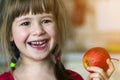 A cute little curly toothless girl smiles and holds a red apple. Portrait of a happy baby eating a red apple. The child loses milk Royalty Free Stock Photo