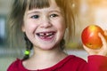 A cute little curly toothless girl smiles and holds a red apple. Portrait of a happy baby eating a red apple. The child loses milk