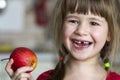 A cute little curly toothless girl smiles and holds a red apple. Royalty Free Stock Photo
