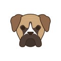 Cute little dog bull mastiff head fill style icon