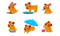 Cute Little Dog Cartoon Character Set, Adorable Brown Puppy in Different Situations Vector Illustration Royalty Free Stock Photo