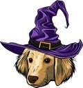 vector ttle dog cartoon in a witch hat