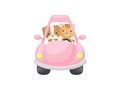 Cute little dog and cat driving pink car. Cartoon character for childrens book, album, baby shower, greeting card, party Royalty Free Stock Photo