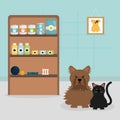 Cute little dog and cat in veterinary Royalty Free Stock Photo