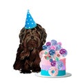 Cute little dog celebrates birthday with a delicious cake.