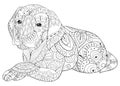 Adult coloring page a cute dog for relaxing.Zen art style illustration.