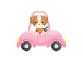 Cute little dog driving pink car. Cartoon character for childrens book, album, baby shower, greeting card, party invitation, house Royalty Free Stock Photo