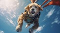 a cute little dog goes skydiving. Skydiving, dog in equipment flying through the sky. Free flight. Adrenaline emotions