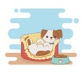 Cute little dog mascot in bed with food