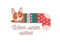 Cute little dog sleeping in Christmas stocking. Warm winter wishes vector greeting card design element. Cartoon canine Royalty Free Stock Photo