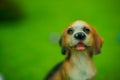 Cute little Dog : small figurines of animals, stone figure statue, object macro , toy animals