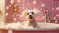 Cute little dog taking bath in bathtub on pink wall background Royalty Free Stock Photo