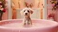 Cute little dog taking a bath in a pink bathtub Royalty Free Stock Photo