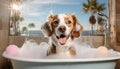 A cute little dog taking a bubble bath with his paws up on bubble the rim of the tub Royalty Free Stock Photo