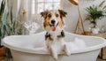 A cute little dog taking a bubble bath with his paws up on bubble the rim of the tub Royalty Free Stock Photo