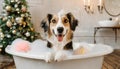 A cute little dog taking a bubble bath with his paws up on bubble the rim of the tub Royalty Free Stock Photo