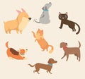 Cute little dogs and cats mascots characters