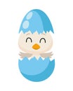 Cute little duck borning easter character Royalty Free Stock Photo